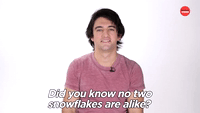 No Two Snowflakes Are Alike