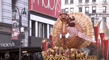 200.gif?cid=fc005b083ce4cd0cf62c007b00d959dc8efd7d8af1029d45&rid=200.gif&ct=g