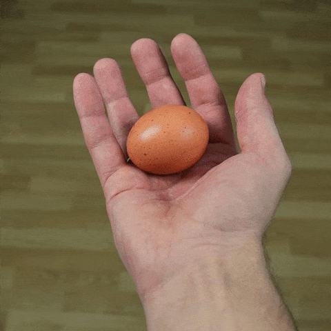 giphy-downsized-large.gif