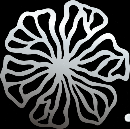 Design Sparkle GIF by AMOODE