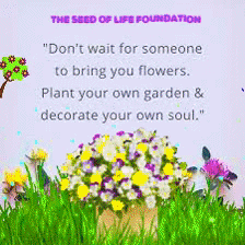 Food Help GIF by The Seed of Life Foundation