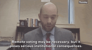 Remote Voting GIF by GIPHY News