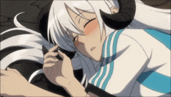 Sleep Sleeping GIF