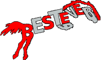 Horse Sticker by Best Ever Pads