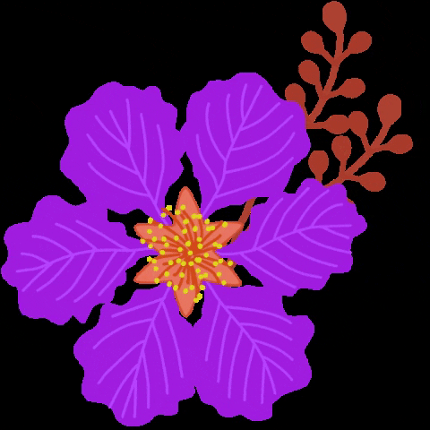 cynthiabauzonarre flower flowers philippines flor GIF
