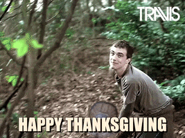 Fran Healy Thanksgiving GIF by Travis
