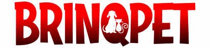 Brinqpet GIF
