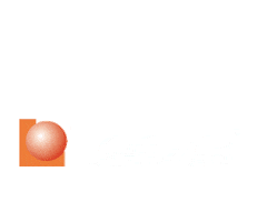 Lesza Propiedades Sticker