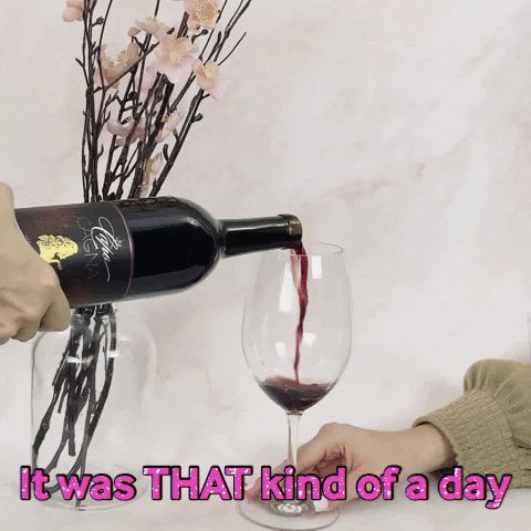 LeahVanDale cheers wine drinks salute GIF