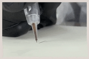 Pmu GIF