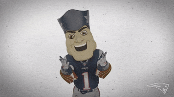 Come On GIF by New England Patriots
