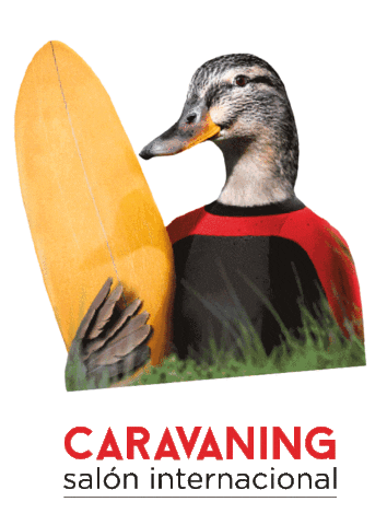 saloncaravaning Sticker