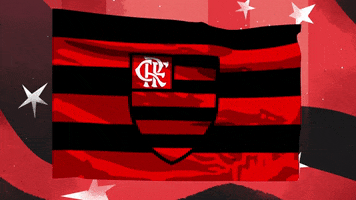 Rodando A Bandeira GIFs - Get the best GIF on GIPHY