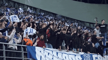 Ghelamco Arena Fans GIF by KAA Gent