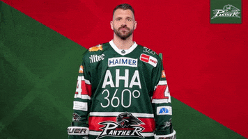 GIF by Augsburger Panther Eishockey GmbH