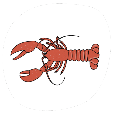 Maine Lobster Sticker by LexiMayde