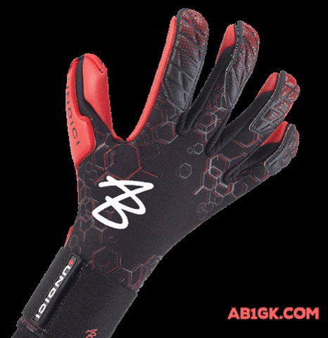 AB1GK goalkeeper gloves torwart gardien GIF
