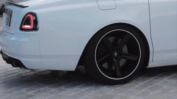 Model GIF