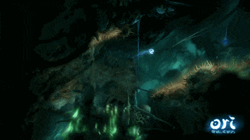 Ori GIF
