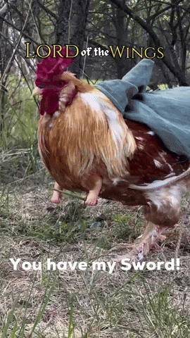 Lotr GIF