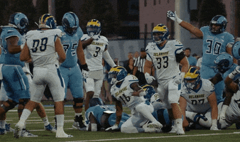 Lets Go Football GIF by Delaware Blue Hens