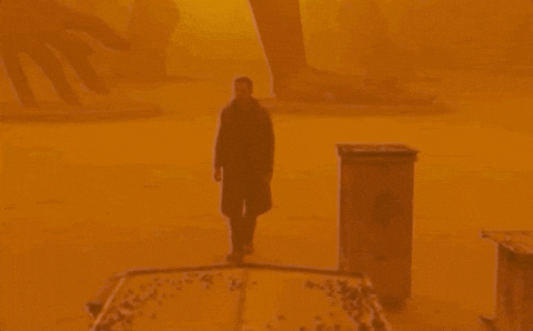 Blade Runner 49 Dual Audio Gifs Get The Best Gif On Giphy
