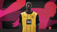 bundesliga-bvb-borussia-dortmund-jtGAMurYmQHRLKTsgQ