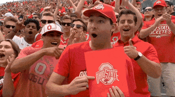 200.gif?cid=fc005b08be61039543fc31ec4d23ba8ebc1133842ed219c2&rid=200.gif&ct=g