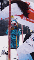 Team Usa Olympics GIF by U.S. Ski & Snowboard Team