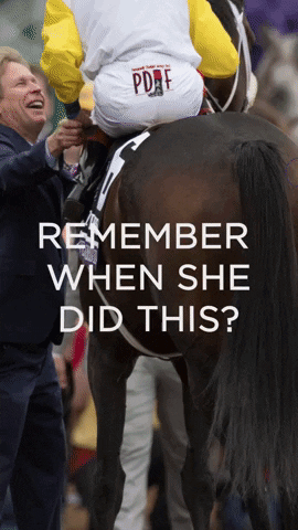 GIF by Breeders' Cup World Championships