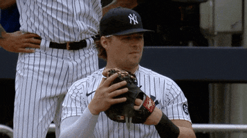 New York Yankees What GIF by Jomboy Media