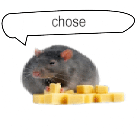 Cheese Mouse GIF