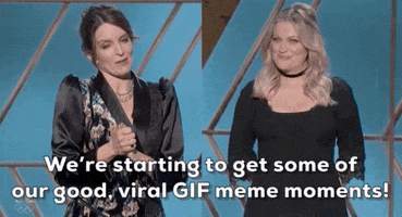 Amy Poehler Meme GIF by Golden Globes
