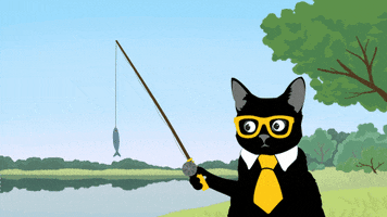 Cat Fish GIF by Klaus