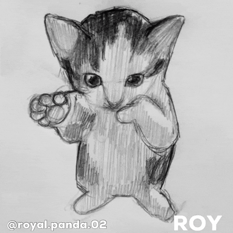 Cat Dancing GIF