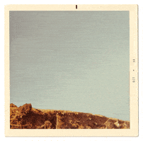 animation vintage GIF by Photojojo