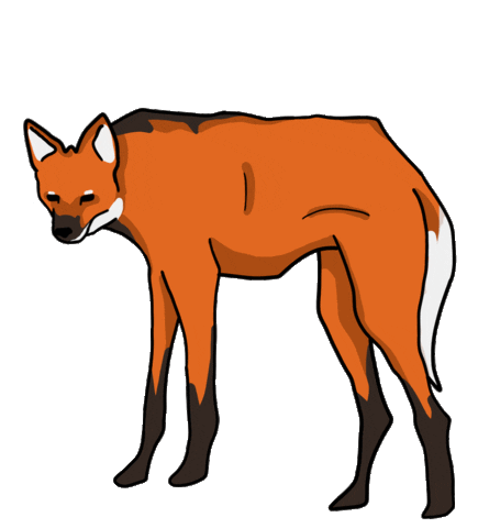 Maned Wolf Fox Sticker by wrsartist