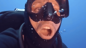 Fish GIF