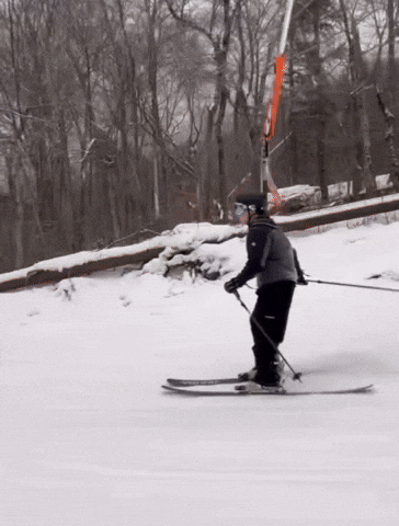 Ski Aaron GIF