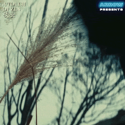 Shocked Martial Arts GIF by Arrow Video Find & Share on GIPHY