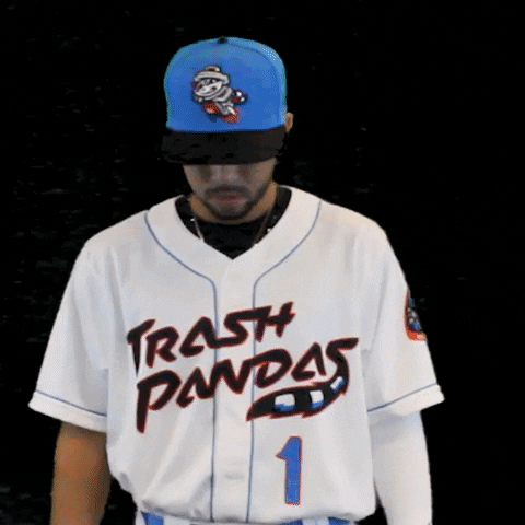 Baseball Arms Crossed GIF by Rocket City Trash Pandas
