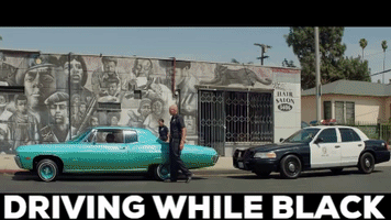 Independent Film Comedy GIF