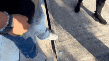 Alecs GIF