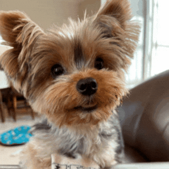 GIF by TOTVS