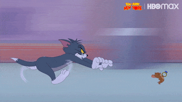 Tom And Jerry Cartoons GIF by HBO Max