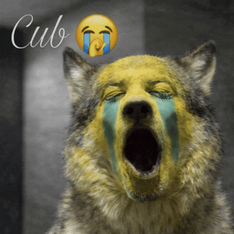 Wolf Cub GIF