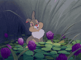 baby animal bunny GIF by Disney