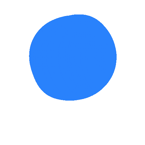 The Salt Company Sticker