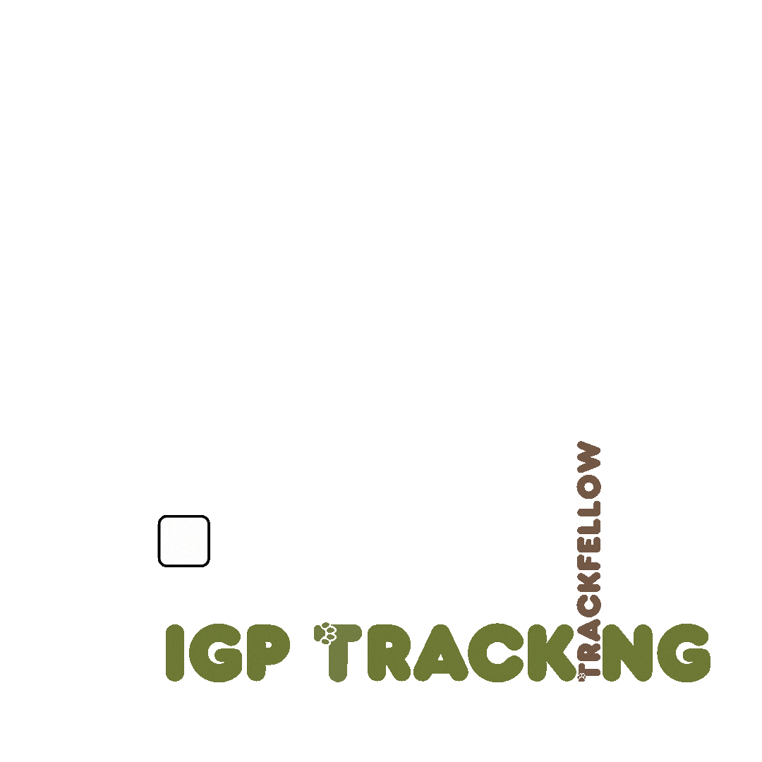 Igp Sticker by Trackfellow