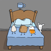 Good Morning Dogs GIF by Chippy the Dog